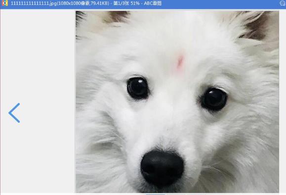 ABCͼѰ v3.3.1.5 PC濴ͼ