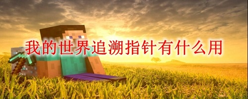 ҵ׷ָʲô