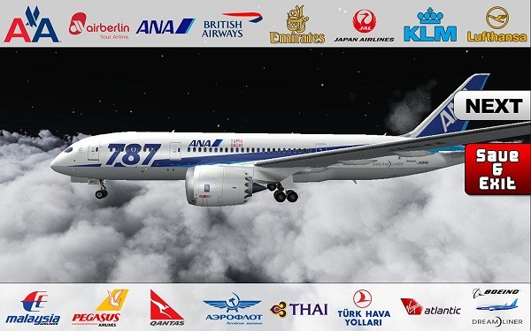 ģ787ײ˵